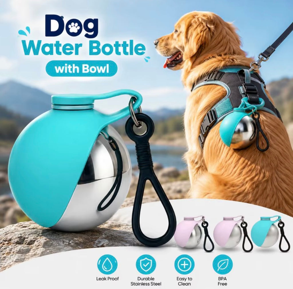Ball Water bottle